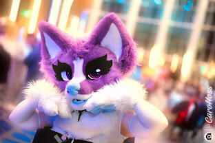 Megaplex 2024 Picture credits to Carohuss