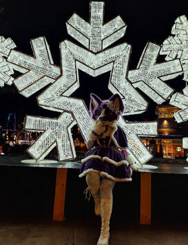 December 2023, Pigeon Forge, TN